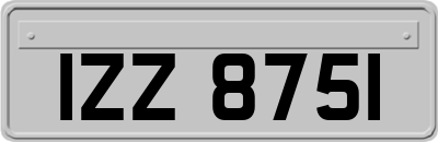 IZZ8751