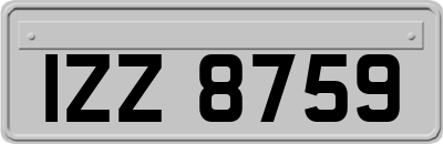 IZZ8759
