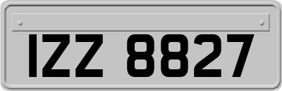 IZZ8827