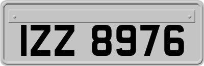 IZZ8976