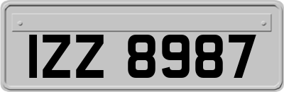 IZZ8987
