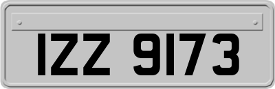 IZZ9173