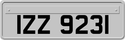 IZZ9231