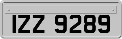 IZZ9289