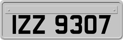 IZZ9307