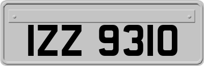 IZZ9310