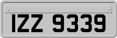 IZZ9339