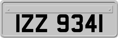 IZZ9341
