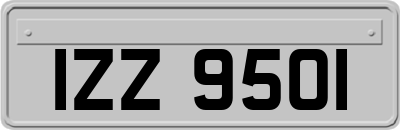 IZZ9501