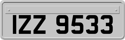 IZZ9533