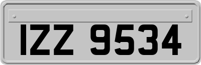 IZZ9534