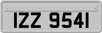 IZZ9541