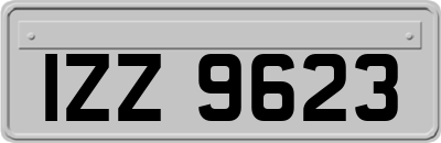 IZZ9623