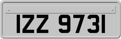 IZZ9731