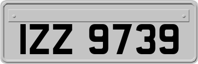 IZZ9739