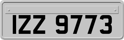 IZZ9773