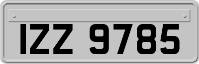 IZZ9785