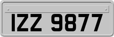 IZZ9877