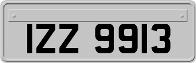 IZZ9913