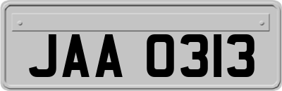 JAA0313