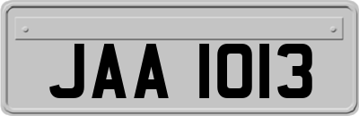 JAA1013