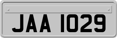 JAA1029