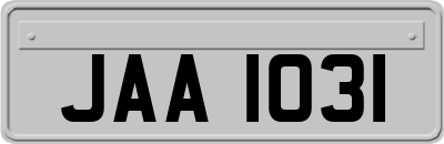 JAA1031