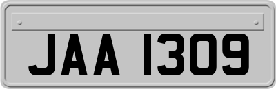 JAA1309
