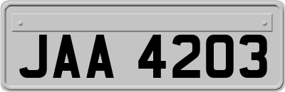 JAA4203