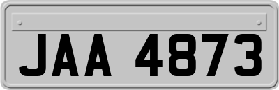 JAA4873