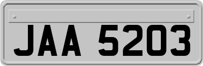 JAA5203