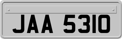 JAA5310