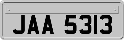 JAA5313