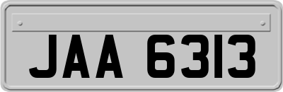 JAA6313