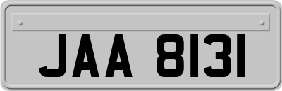 JAA8131