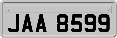 JAA8599