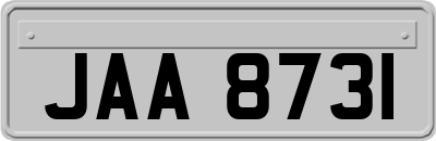 JAA8731
