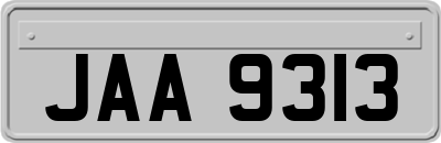 JAA9313
