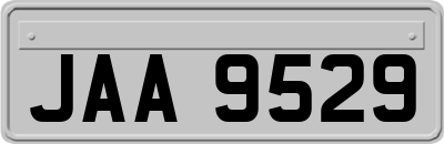 JAA9529