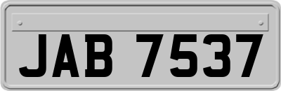 JAB7537