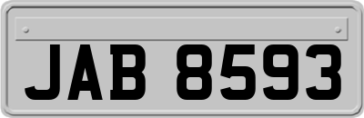JAB8593