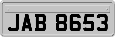 JAB8653