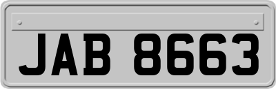 JAB8663