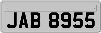 JAB8955
