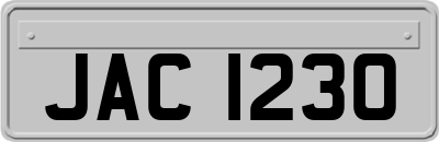 JAC1230