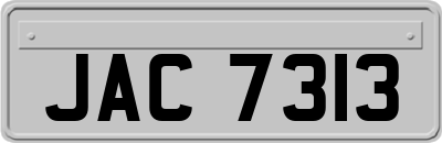 JAC7313