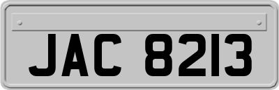 JAC8213