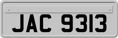 JAC9313
