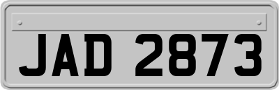 JAD2873