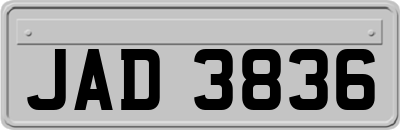 JAD3836